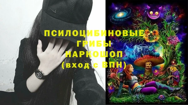 спиды Аркадак